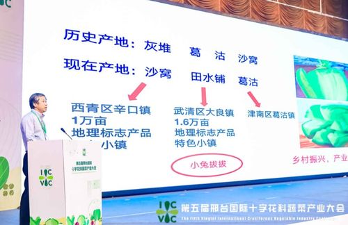 小種子撬動大產業(yè) 第五屆邢臺國際十字花科蔬菜產業(yè)大會盛大啟帷，展現(xiàn)科技興農新圖景